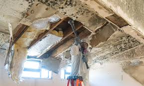 Best Asbestos and Lead Testing During Mold Inspection in Latham, NY